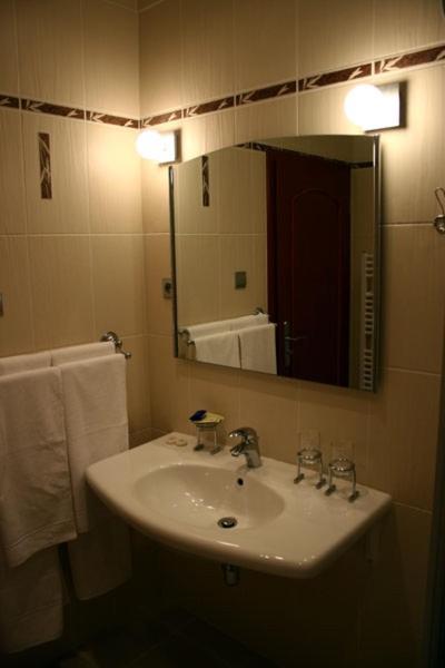 Zlaty Lev Hotell Louny Rom bilde
